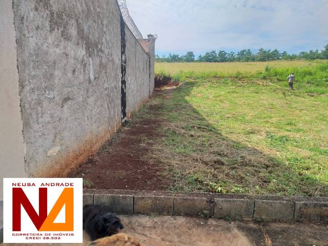 Terreno para Venda em Dumont - 5