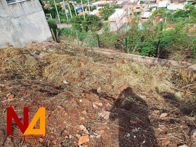 Área para Venda em Ribeirão Preto - 4